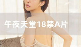 午夜av视频,揭秘AV视频背后的故事